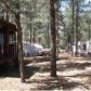 2188 Northwoods, Overgaard, AZ 85933 ID:3224412