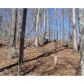 51 Green Meadow, Dahlonega, GA 30533 ID:3292426