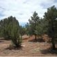 3569 Juniper Break, Overgaard, AZ 85933 ID:3224431