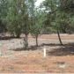 3569 Juniper Break, Overgaard, AZ 85933 ID:3224434