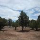 3569 Juniper Break, Overgaard, AZ 85933 ID:3224435