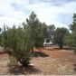 3569 Juniper Break, Overgaard, AZ 85933 ID:3224436