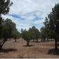 3569 Juniper Break, Overgaard, AZ 85933 ID:3224437