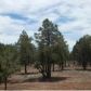 3569 Juniper Break, Overgaard, AZ 85933 ID:3224439