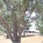 3569 Juniper Break, Overgaard, AZ 85933 ID:3224440