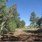 2342 Lazy 8 Circle, Overgaard, AZ 85933 ID:3224474