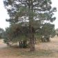 2817 Pine Hill Rd, Overgaard, 85933, Overgaard, AZ 85933 ID:3224515