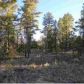 2073A Gilbert Lane, Overgaard, AZ 85933 ID:3224413