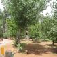 2709 Bain Trail, Overgaard, AZ 85933 ID:3224560