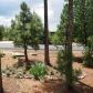 2709 Bain Trail, Overgaard, AZ 85933 ID:3224562