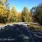 20907 S Birchwood Loop Road, Chugiak, AK 99567 ID:1493490