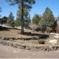 2815 Dogleg, Overgaard, AZ 85933 ID:3224601