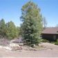 2815 Dogleg, Overgaard, AZ 85933 ID:3224604