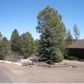 2815 Dogleg, Overgaard, AZ 85933 ID:3224605