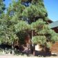 2783 Chandelle, Overgaard, AZ 85933 ID:3224647