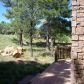 2783 Chandelle, Overgaard, AZ 85933 ID:3224651