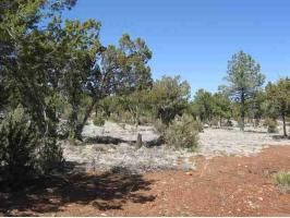 2306 Highway 260, Overgaard, AZ 85933