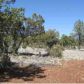 2306 Highway 260, Overgaard, AZ 85933 ID:3224756