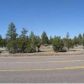 2306 Highway 260, Overgaard, AZ 85933 ID:3224760