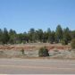 2306 Highway 260, Overgaard, AZ 85933 ID:3224761