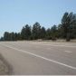 2306 Highway 260, Overgaard, AZ 85933 ID:3224762