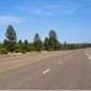 2306 Highway 260, Overgaard, AZ 85933 ID:3224763