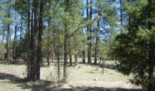 Lot 44 Hunter Creek Payson, AZ 85541