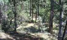 Lot 41 Ellison Creek Estates Payson, AZ 85541