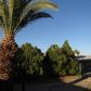 8060 E Almond, Tucson, AZ 85730 ID:1652239