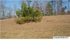 Lot 9 Chula Vista Ridge Drive, Decatur, AL 35603