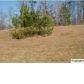 Lot 9 Chula Vista Ridge Drive, Decatur, AL 35603 ID:2211664