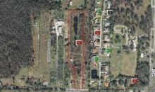 19119 GERACI RD Lutz, FL 33558