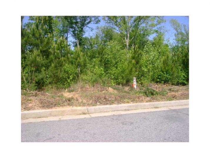 0 Alderwoods Dr Lot 30, Jonesboro, GA 30236