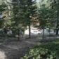 1610 Forest Trail (MSlopes II #90), Mammoth Lakes, CA 93546 ID:1683696