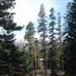 1610 Forest Trail (MSlopes II #90), Mammoth Lakes, CA 93546 ID:1683701