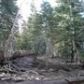 1610 Forest Trail (MSlopes II #90), Mammoth Lakes, CA 93546 ID:1683702