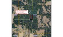 (Parcel 2) Coyote Pass Brooksville, FL 34601