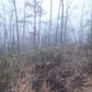 0 Winfield Station Trail, Dawsonville, GA 30534 ID:2461549