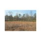 0 Booger Hollow Road, Cedartown, GA 30125 ID:2687785