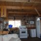 000 Steik Avenue, Ninilchik, AK 99639 ID:1079810