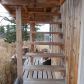 000 Steik Avenue, Ninilchik, AK 99639 ID:1079812