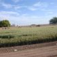 900 E MAIN ST, Somerton, AZ 85350 ID:1447600