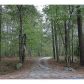 7060 Rico Road, Palmetto, GA 30268 ID:2596360