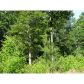 260 Old Post Trail, Talking Rock, GA 30175 ID:3134027