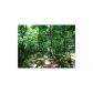 288 Cherokee Drive N, Waleska, GA 30183 ID:3134898