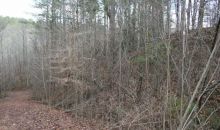 53 Mountain Creek Hollow Talking Rock, GA 30175