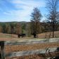 76 Farmhouse Road, Ball Ground, GA 30107 ID:2638125