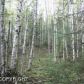 13526 W Cheri Lake Drive, Big Lake, AK 99652 ID:1555322