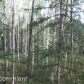 13526 W Cheri Lake Drive, Big Lake, AK 99652 ID:1555323