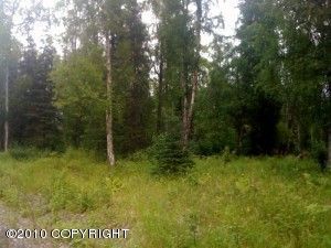 22786 W Diamond Circle, Big Lake, AK 99652